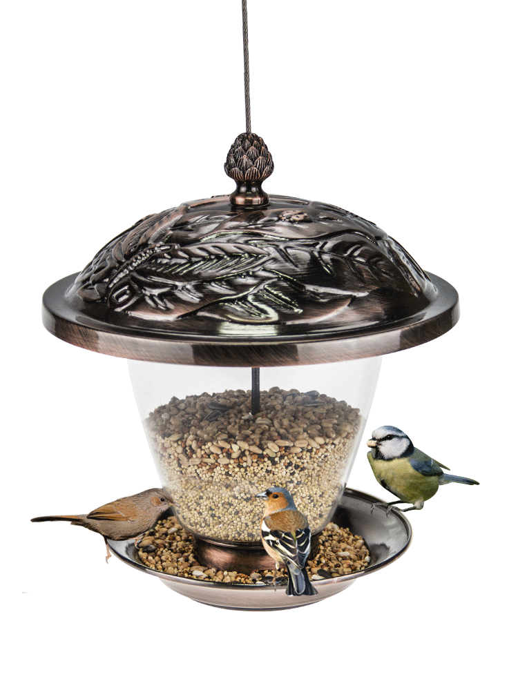 Wild hanging transparent bird feeder automatic cutting villa balcony outdoor garden bird guide bird supplies ZP12181939