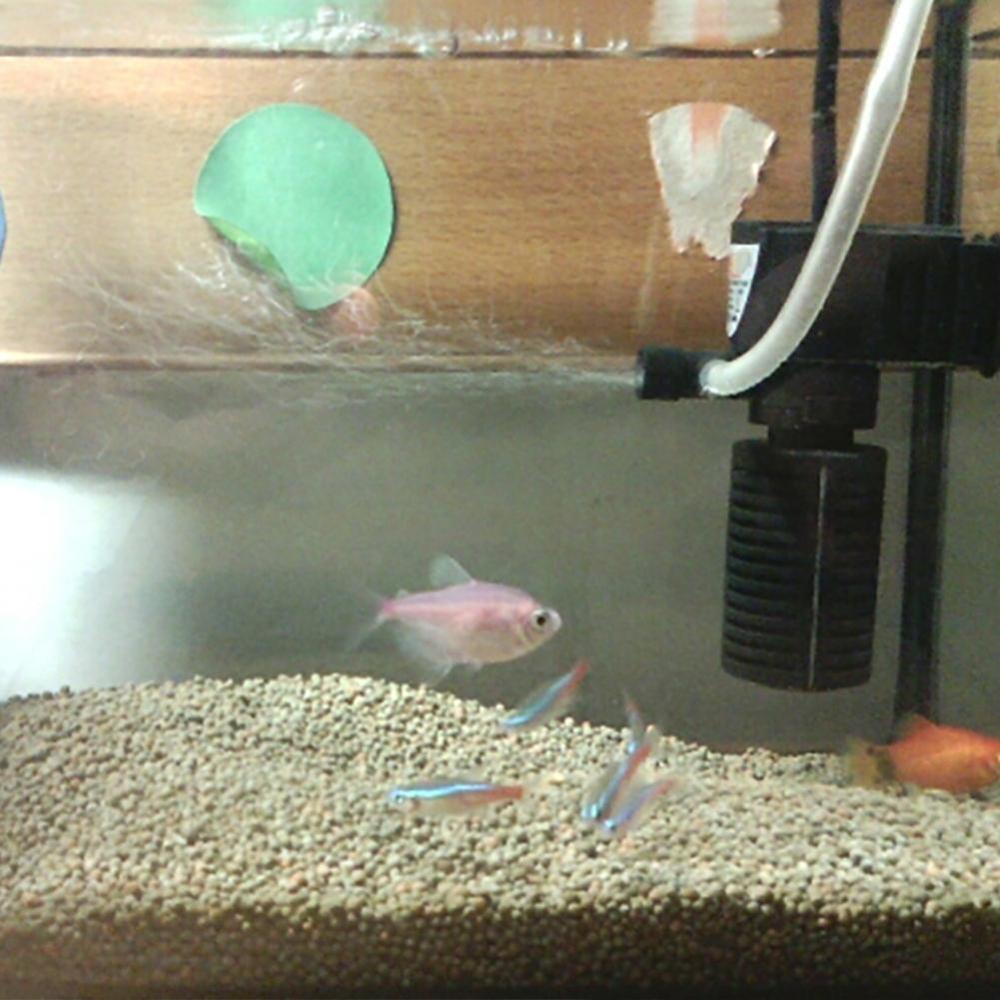 3 en 1 fonction Mini pompe pour filtre d'aquarium, 3W filtre filtrage pompe à débit faible bruit d'air pour l'augmentation de la pompe à éponge, eau H6E5