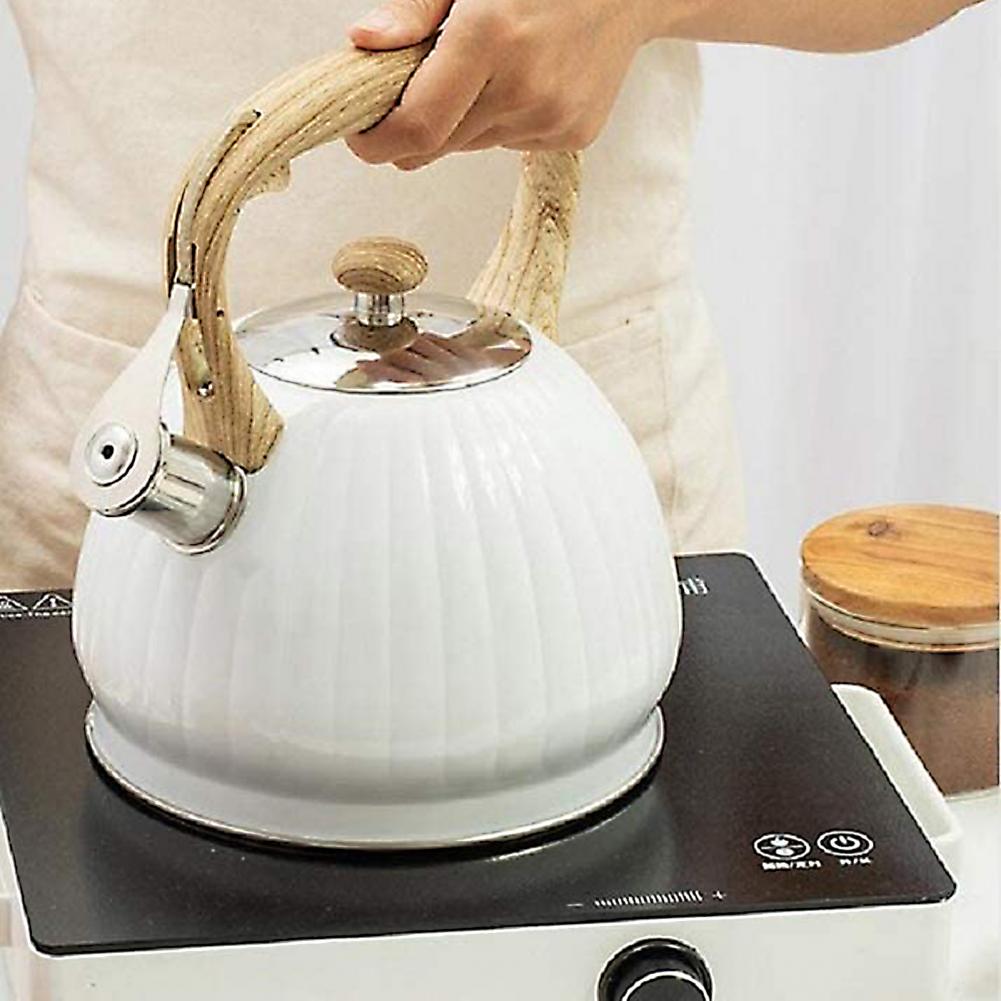 Stainless Steel Kettle with whistle Appetite cookware for kitchen induction cooker for gas cookers Stove Kettle Tea pot