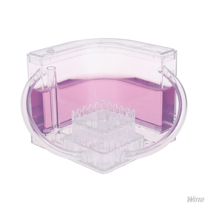 3D Ant Farm Educational Maze Live Feeding System Ants Habitat World Pet Villa: Purple