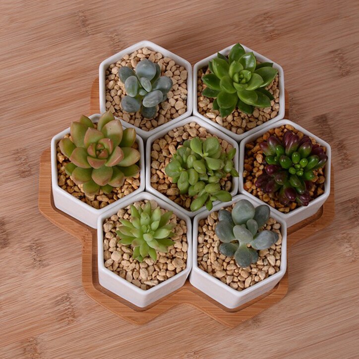 Set Van 4/7/9/10 Hexagon Bloempotten Witte Keramische Vetplant Pot Met Bamboe Stand Home Office Kerst Jaar Decoratie