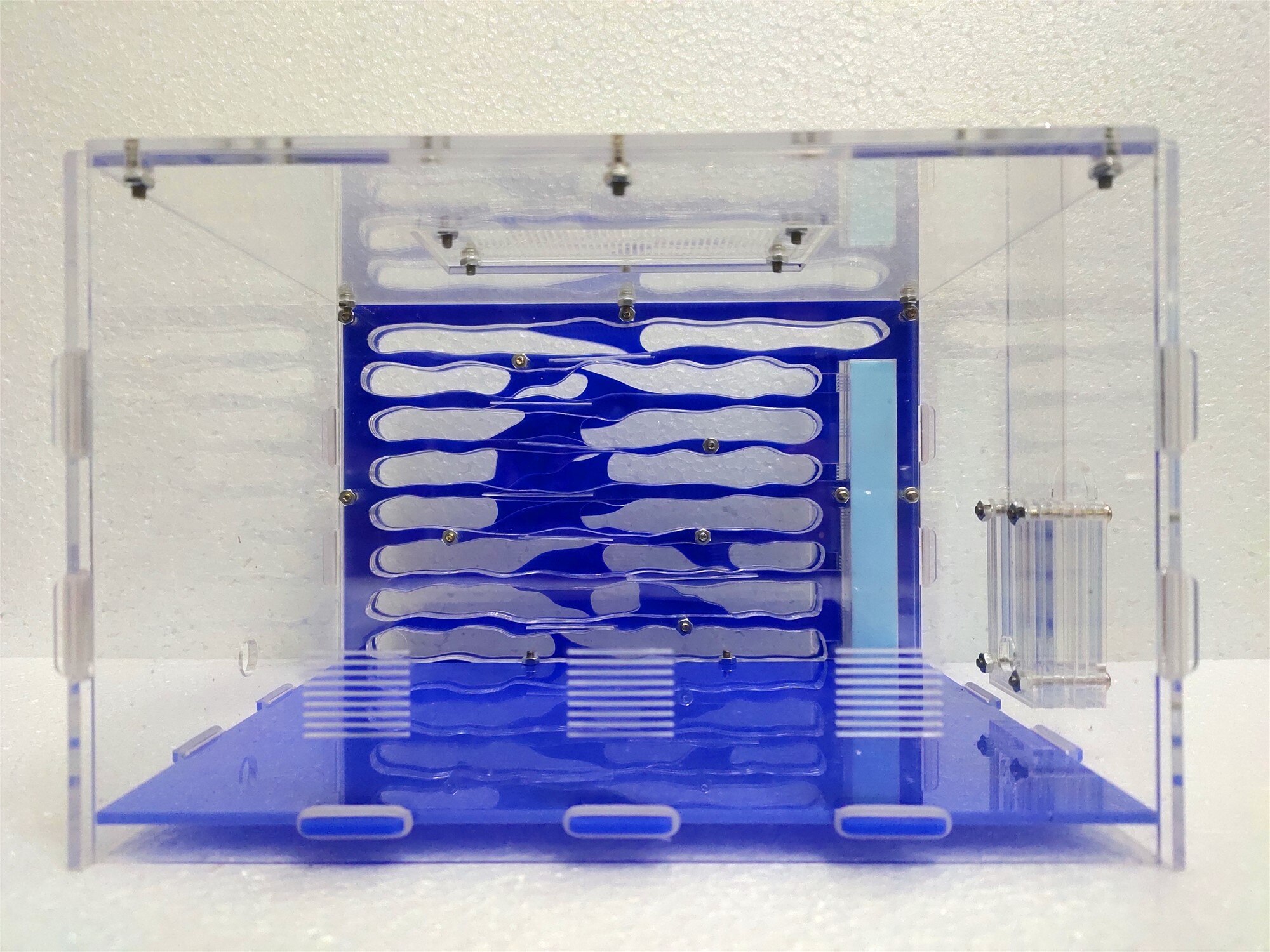 Large Ant Nest Acrylic Ant Nest Stereo Model Ant Nest Large Balcony Ant Nest Ant Workshop