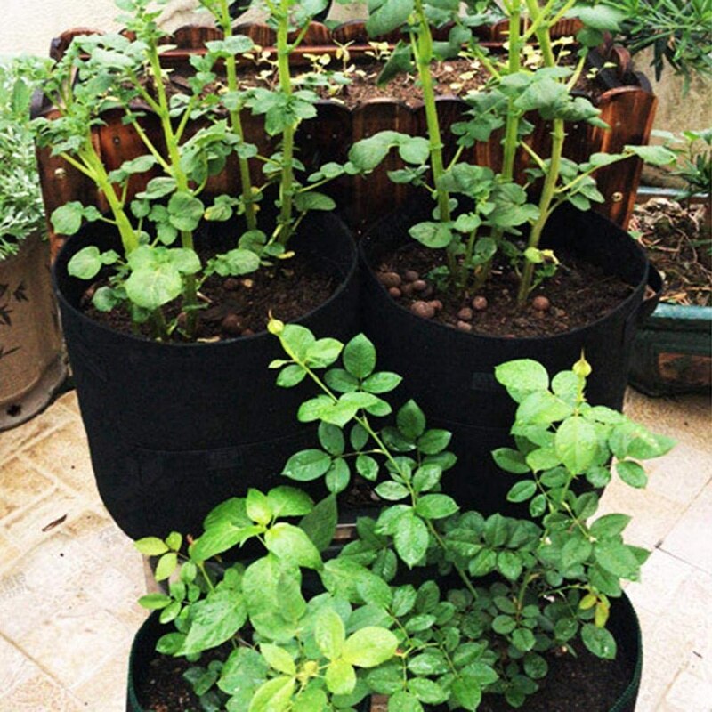 Maison balcon jardin plante sac légumes récipient de culture pour la culture de pommes de terre cultiver des sacs