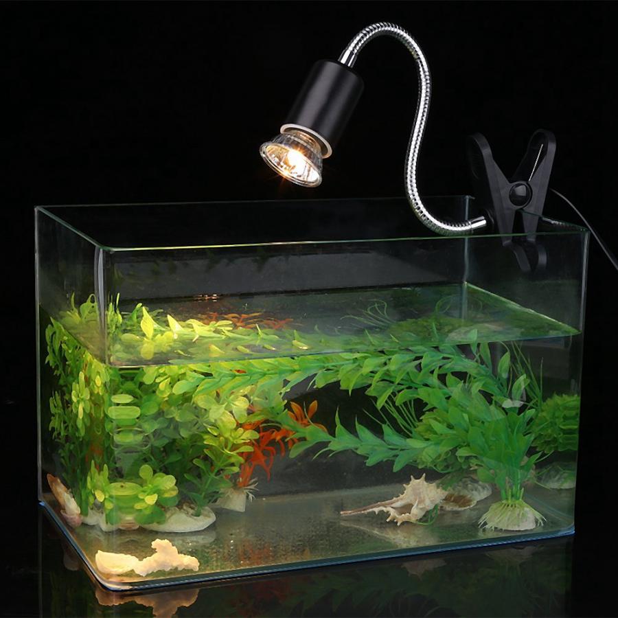 25/50/75W Reptile Heating Light Adjustable Turtle Basking UV Light Bulb Amphibians Lizards Temperature Controller