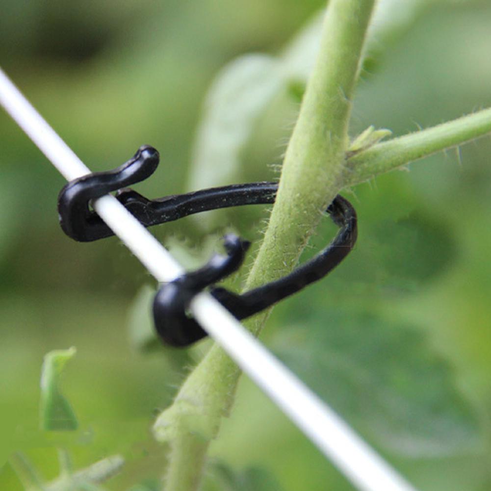 100 unids/lote sujetador de plantas de viñas autoblocante gancho de hebilla atado Clips de injerto de verduras suministros de jardín de invernadero agrícola