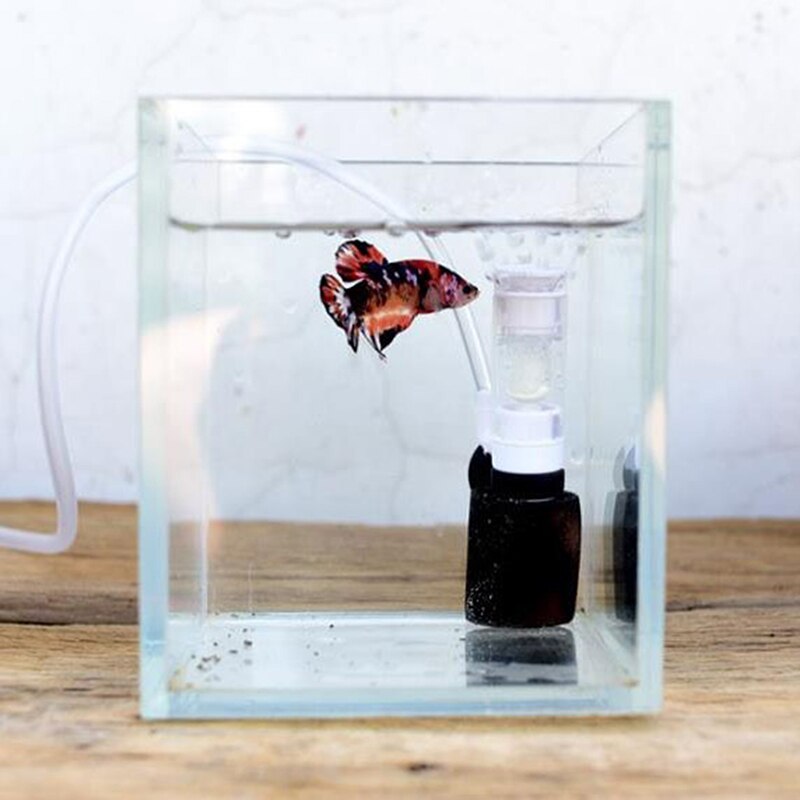 Mini Filter Fish Tank Zuurstof Pomp Aquarium Luchtpomp Accessoires Spons Filter Aquatische Huisdieren Producten