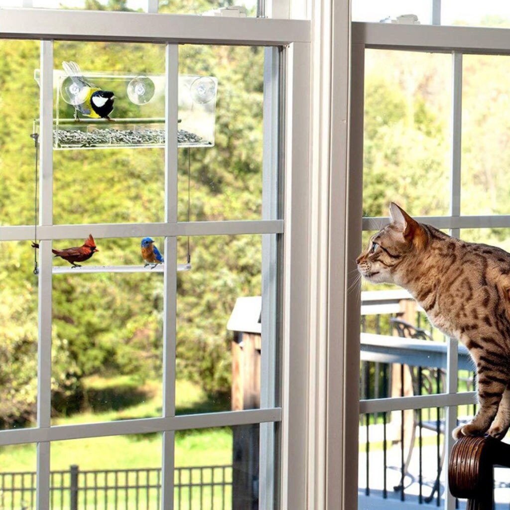 Window Bird Feeder with 3 Strong Suction Cups, Bird Feeders for Outside, Seed Tray with Drain Holes, for Kids Bird Lovers