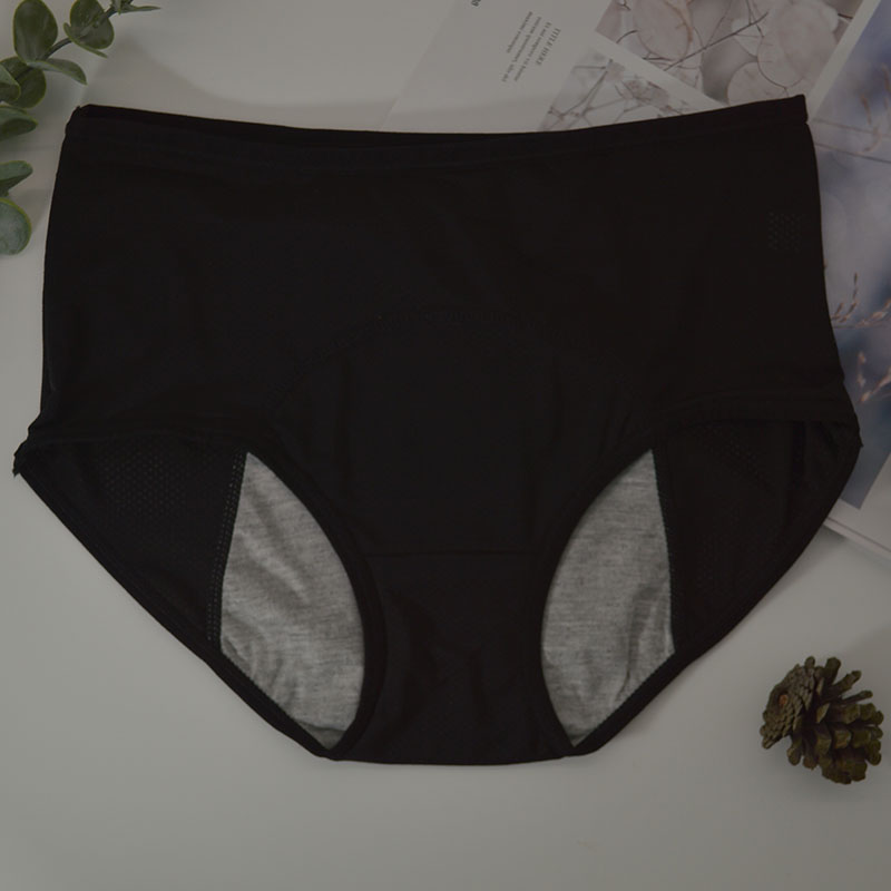 women's Leak Proof Pants Menstrual Transparent Waterproof Briefs Physiological plus size Underwear: 6XL / Blue