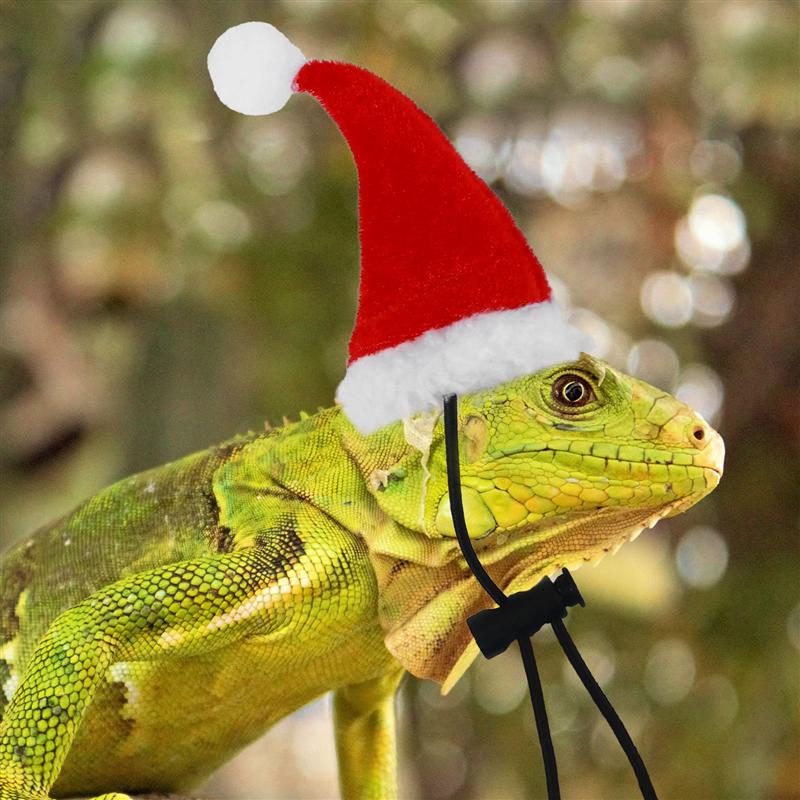 2Pcs Bearded Dragon Lizard Santa Hat with Scarf Festival Christmas Costume Set