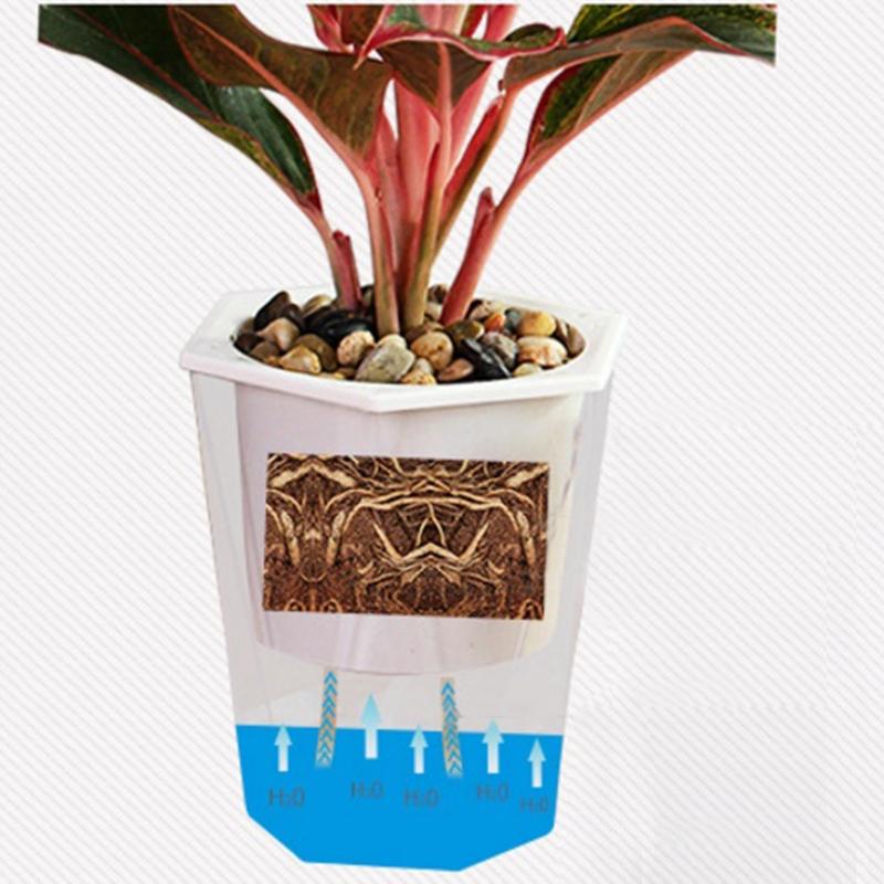 Rhombus transparente auto rega vaso de flores bonita planta pote casa escritório jardim decoração festival presente