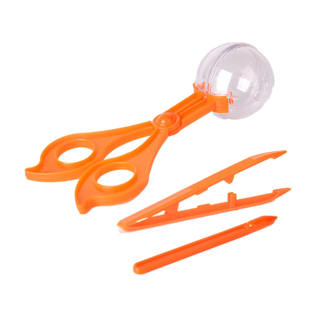 Bug Catching Kit Playset 3 Pcs Bug Catcher Educational for Camping Outdoor Explorer Toddlers Boys and Girls