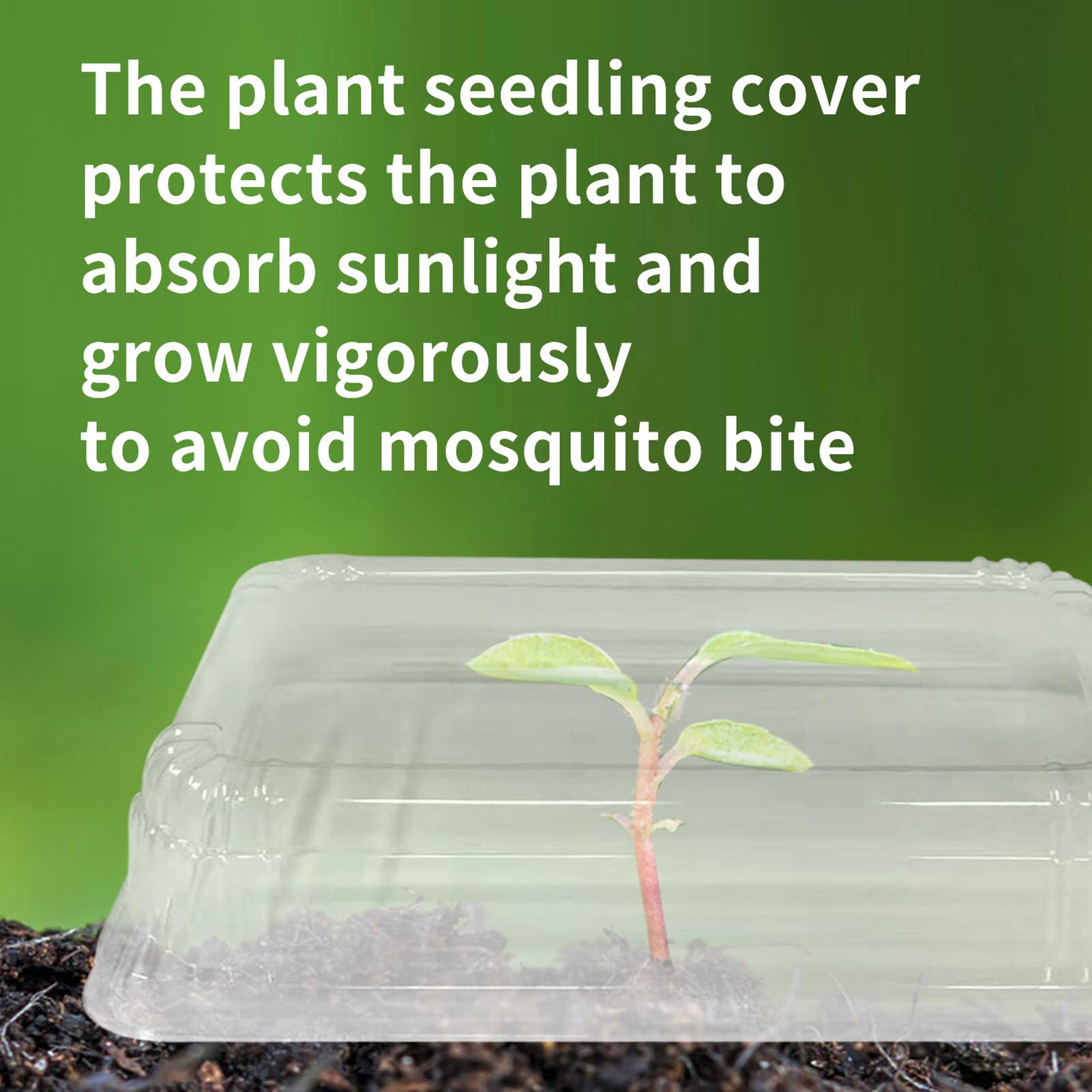 Transparante Cover Voor Plant Zaden Herbruikbare Zaad Plant Kas Doos Zaailing Kwekerij Pot Plant Protection Cover