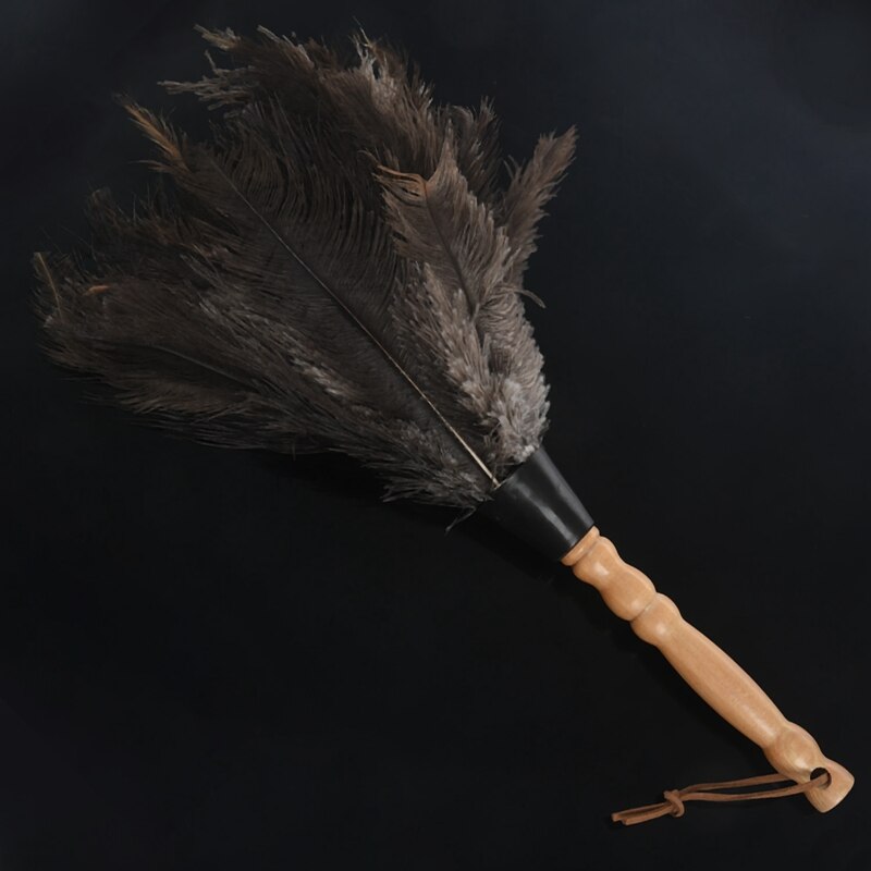 Antystatyczna strusie pióra szczotka robić futra prochowiec urządzenia robić oczyszczania kurzu drewniana rączka