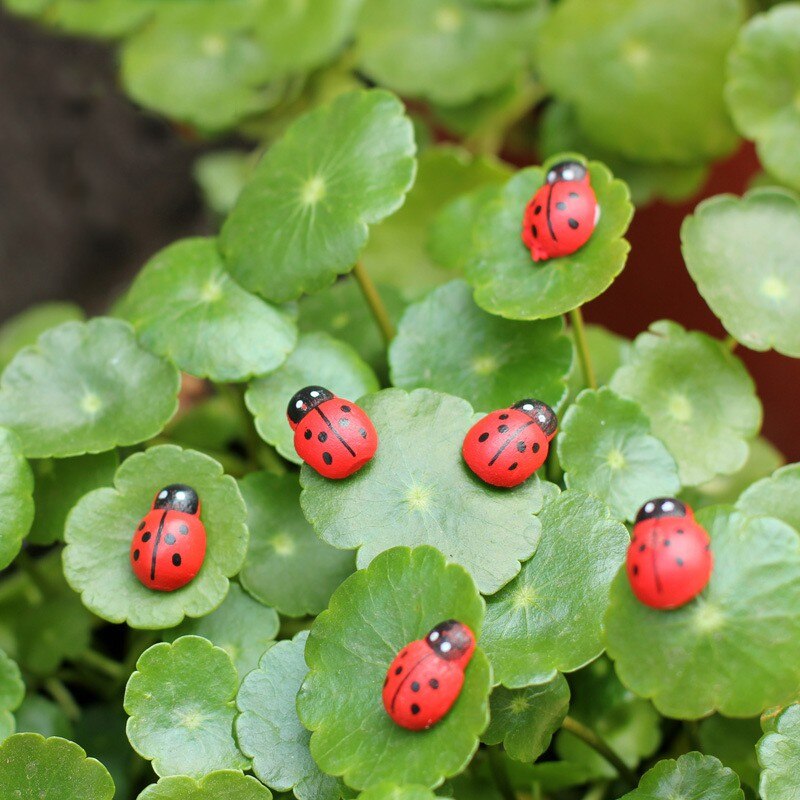 100 sztuk/paczka 1.4*0.9cm mini drewniane biedronka gąbka naklejki mini lodówka magnesy robić Scrapbooking mikro element dekoracji krajobrazu dekoracje