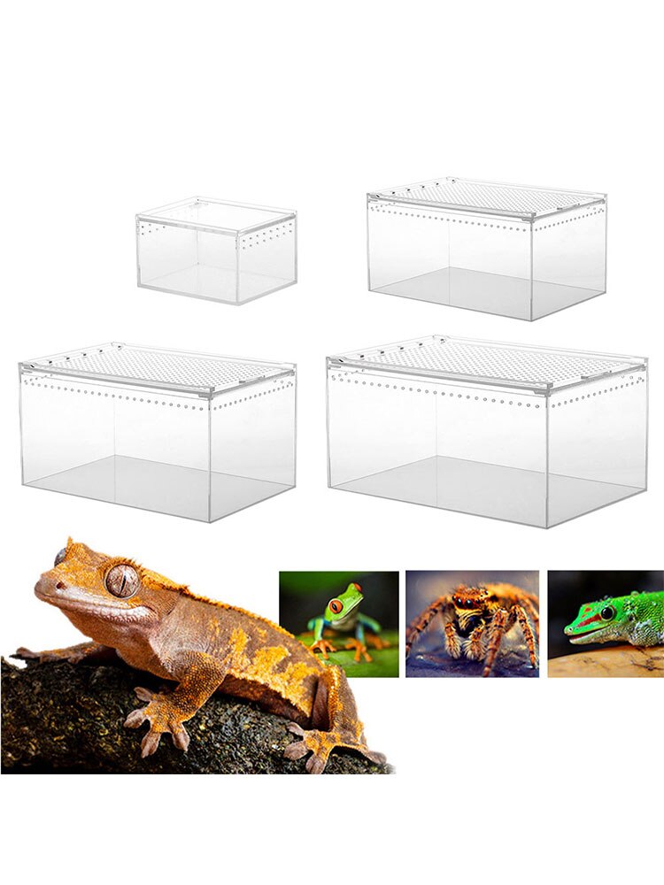 Reptile Pet Animal Breeding Box Transparent Terrarium Waterproof Crawling Pet Breeding Box Acrylic Terrarium