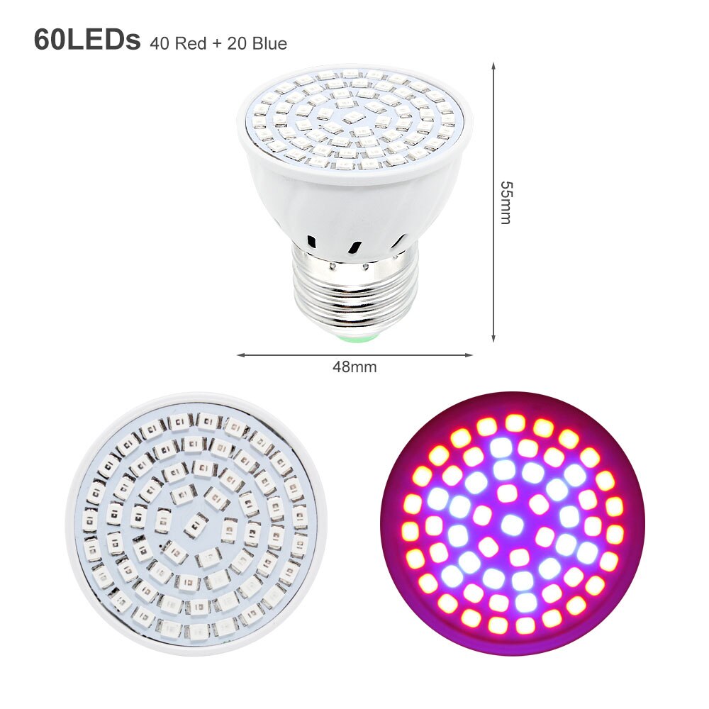 Dual Head Indoor LED Grow Light USB Port Full Spectrum Phyto Growing Lamp With Controller For Vegetable Flower Plant Greenhouse: 60 LEDs E27