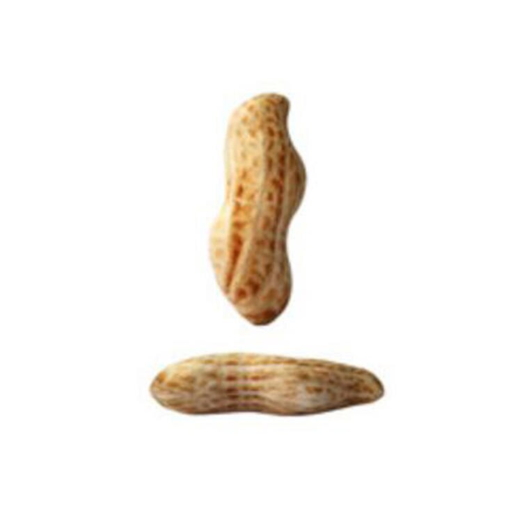 Dog Chew Toys Simulation Ice Cream Fruit Bread Squeeze Sound Pet Toy Play Chew Anti Bite Dog Toys: 29