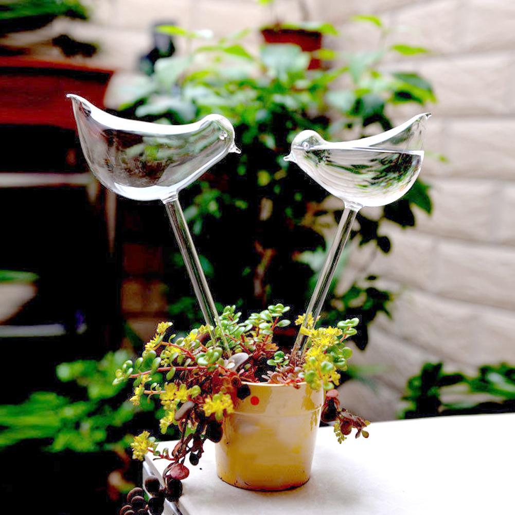 Sistema de autorriego automático para casa y jardín, alimentador de aves en forma de C, latas de riego transparentes