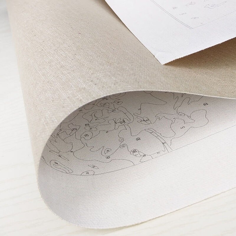 Paint by Numbers for Adult DIY Paint by Number Kits for Kids Beginner on Canvas SP99