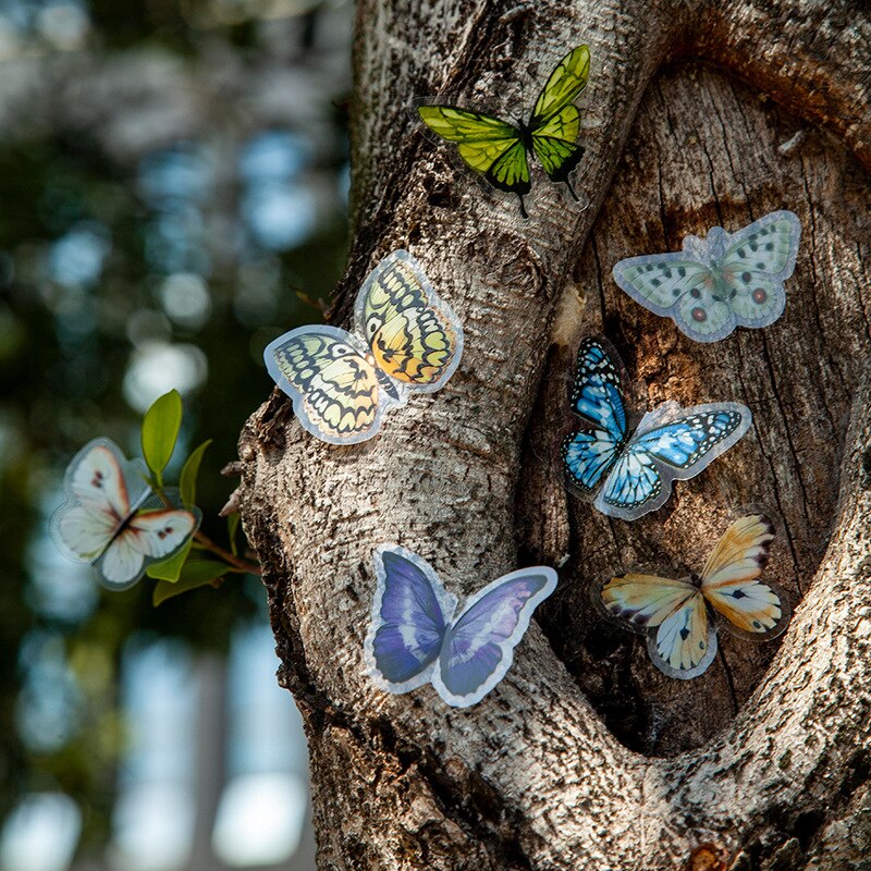 Vlinder Museum Diy Maanlicht Droom Lint Mooie Sticker Decoratieve Dagboek Album Crystal Inkt Pet Art Sticker Pack