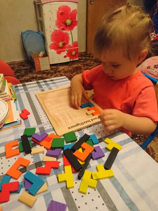 Wooden Tetris Puzzle Brain Teasers Game