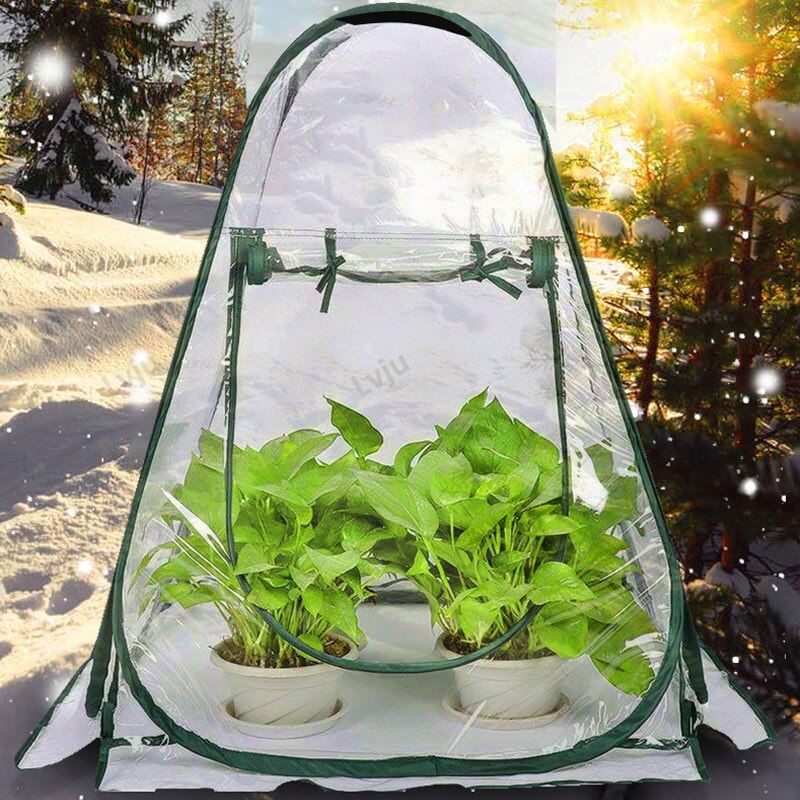 Lvju-Mini invernadero transparente de plástico para plantas de semillero, invernadero pequeño para invernadero, 75x75x80cm