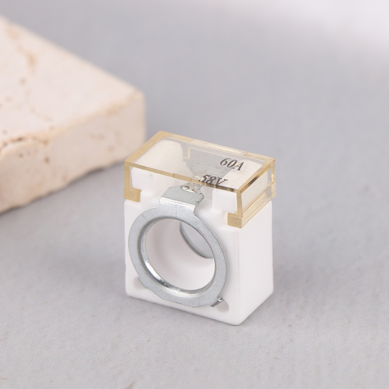 10pcs Fusibles Anl De Sistema Audio Para Vehículos 100a | Meses Sin