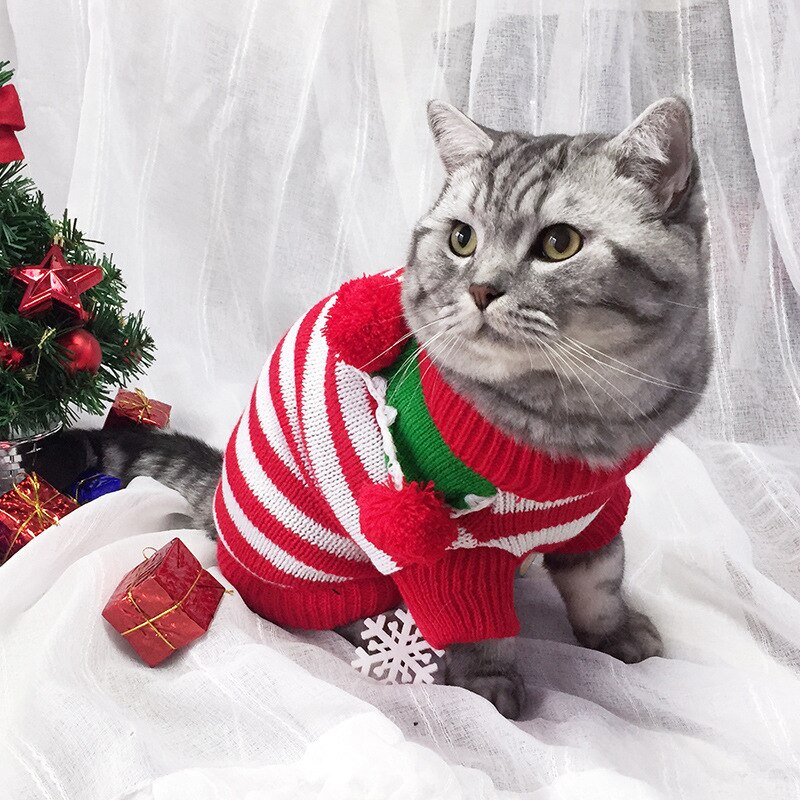 Pull coloré pour chat, vêtement de noël pour – Grandado
