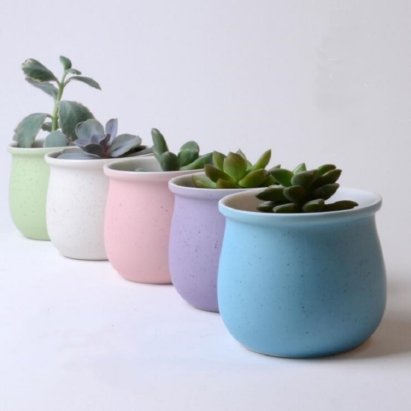 TECHOME-maceta de plantas Multicolor, macarrón de cerámica de alta temperatura, macetas suculentas para flores, decoración de escritorio para el hogar y la Oficina