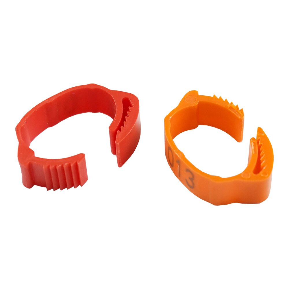 30PCS Numbered Poultry Chicken Leg Band Clip-on Adjustable Buckle Ring For Animal Duck Pigeon Goose Digital Label 6 Colors