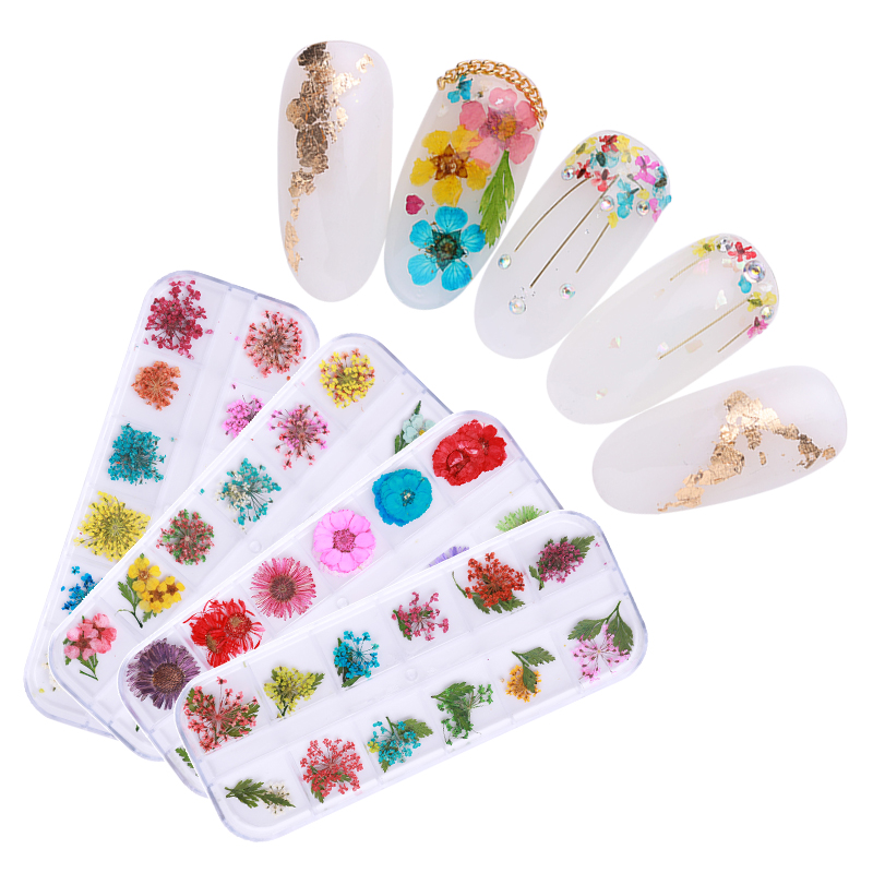 1 doos Kleurrijke Natuurlijke Droge Bloemen Bloemen Gemengde Patronen 3D Nail Art DIY Decoraties Gereedschap Voor UV Gel Polish