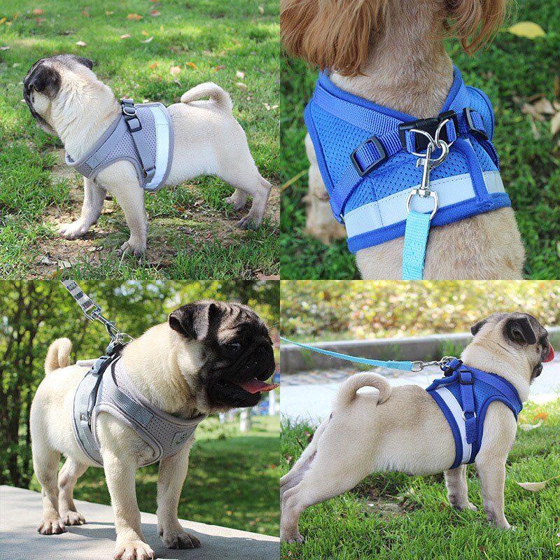 Puppy Borstband Reflecterende Veiligheid Pet Dog Harness En Leash Set Pug Chihuahua Bulldog Harnassen Hond Vest Voor Kleine Medium honden