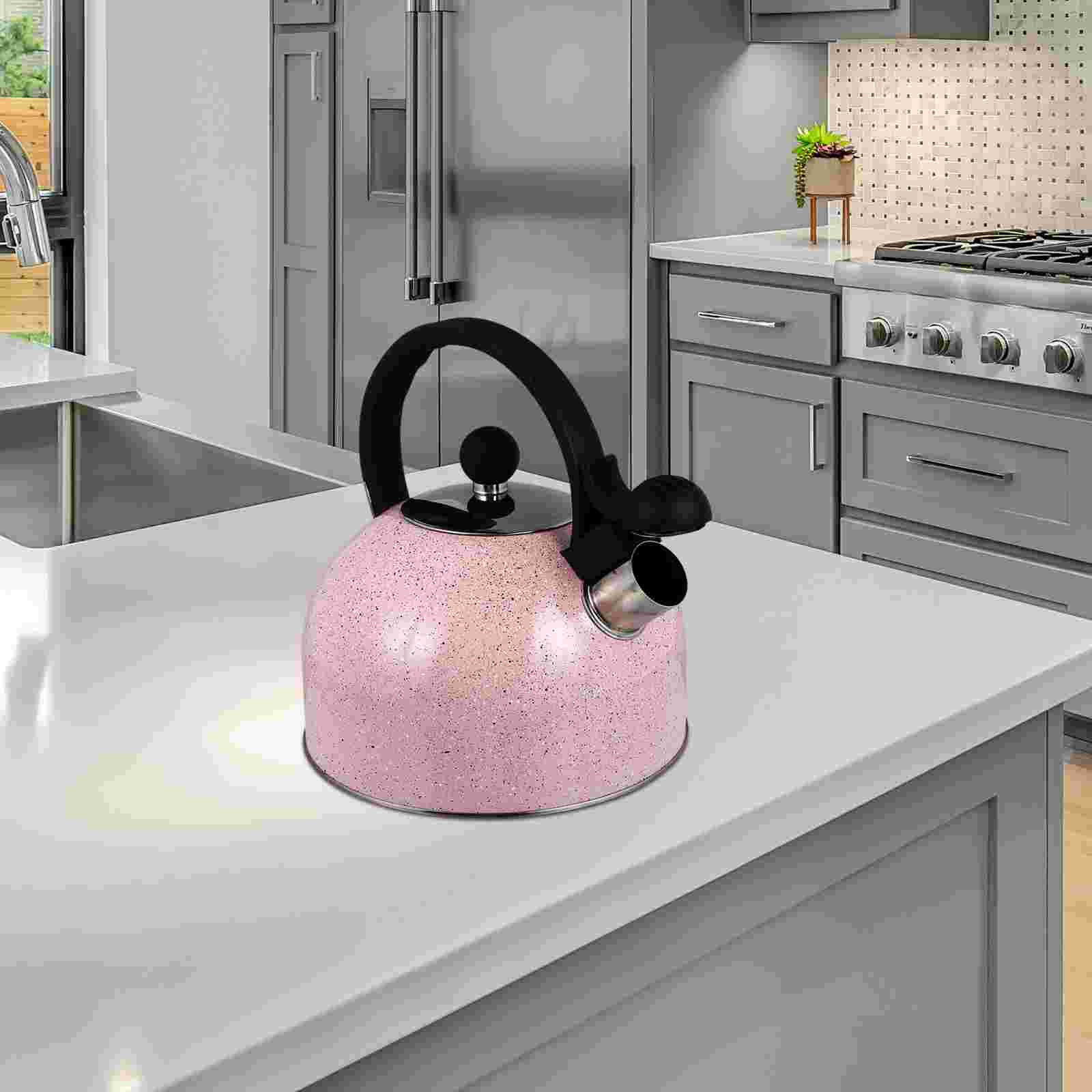 1pc Whistling Kettle 2.5L Stainless Steel Whistle Tea Kettle Water Bottle Tea Pot )