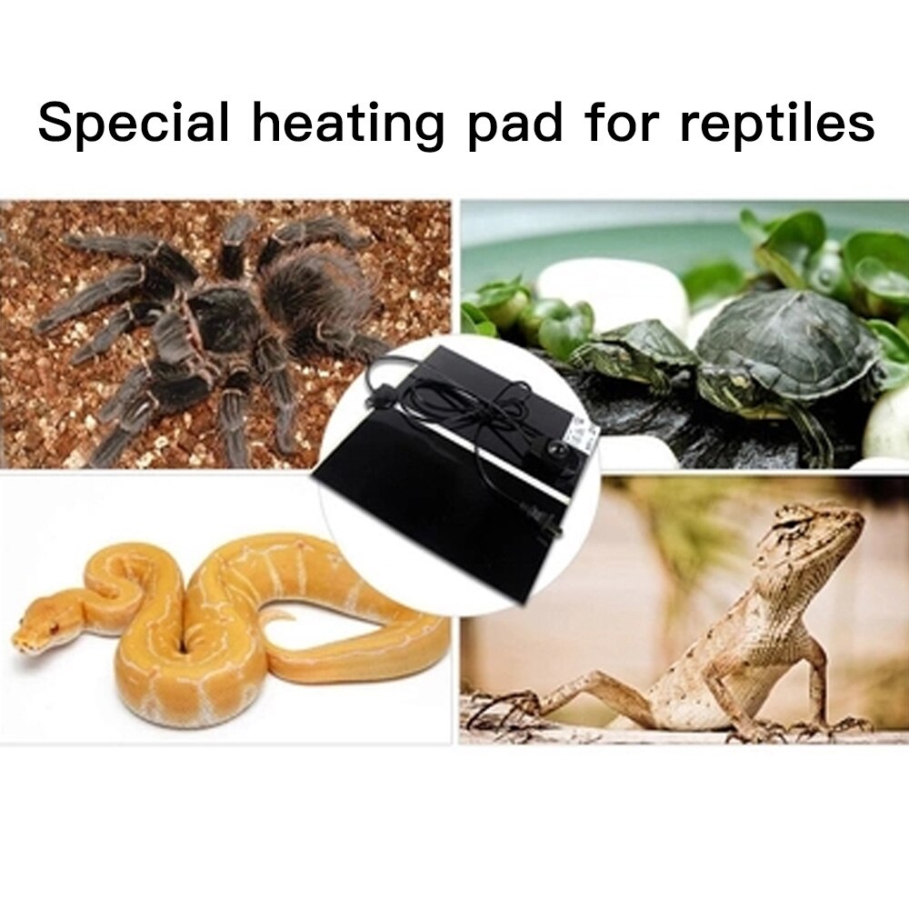 Alfombrilla de calor para Reptiles y terrarios de 220V, almohadilla de calor ajustable para escalada de mascotas, almohadilla térmica para calentar la temperatura, herramientas para incubar mascotas