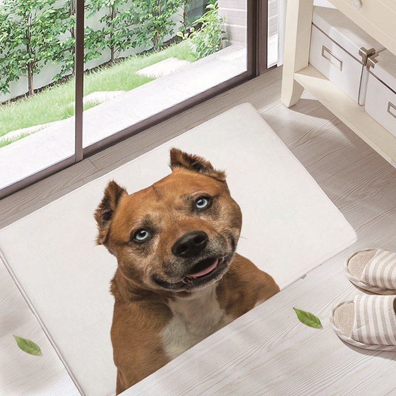 ¡Novedad! Felpudos para puerta de entrada, felpudos con bonito patrón de animales para perros, felpudos a prueba de polvo para sala de estar, decoración del hogar