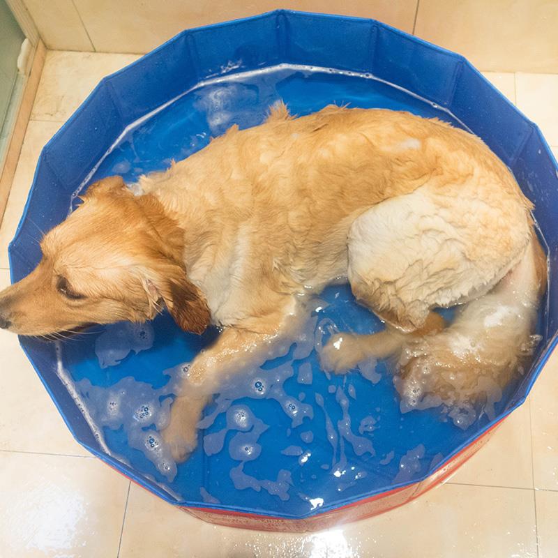PVC Pet Bathtub Folding Basin Dogs Cats Puppy Kitten Shower Swimming Pool House Bed Strong Bathing Washing