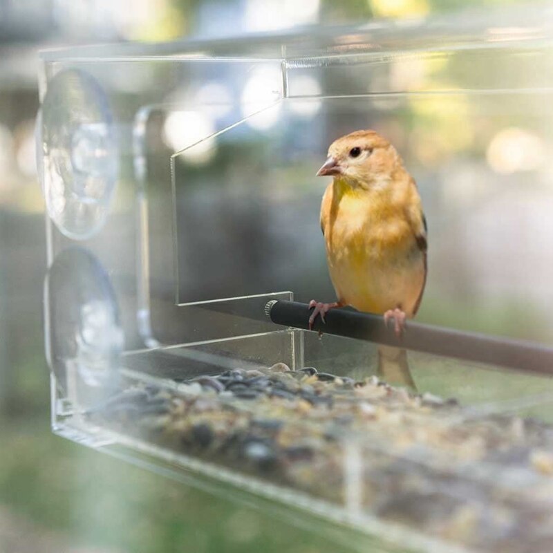 Comedero de ventana para pájaros con 4 bandejas de semillas súper fuertes ventosas y deslizantes, comederos de pájaros grandes y transparentes de acrílico para exteriores,