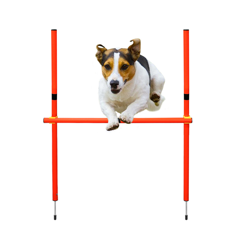 Outdoor Dog Training Equipment Portable Dog Exercise Running Training Jumping Stakes Sports Dogs Agility Equipment Pet Supplies: 2