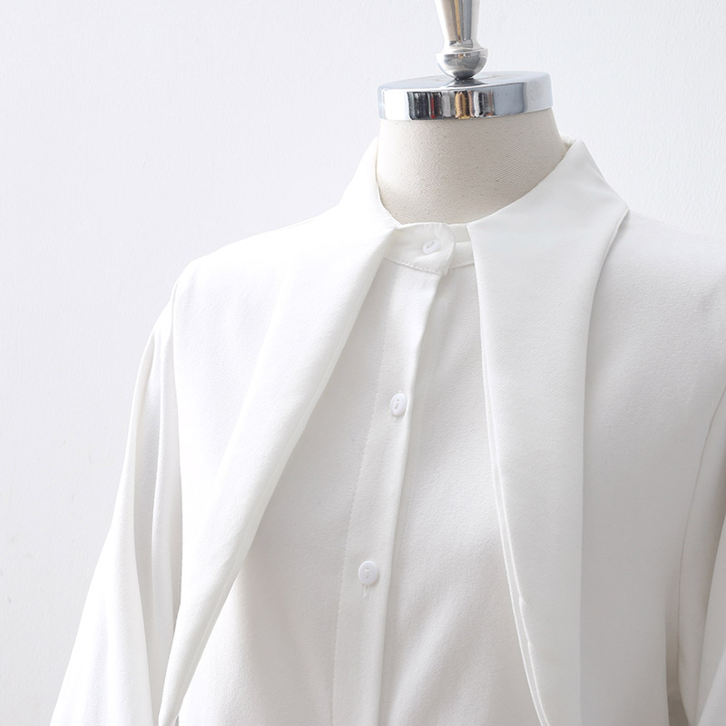 Chemisier décontracté à manches lanternes pour femme, haut à gros nœud et oreilles de lapin, chemise à boutons, coréenne, printemps,