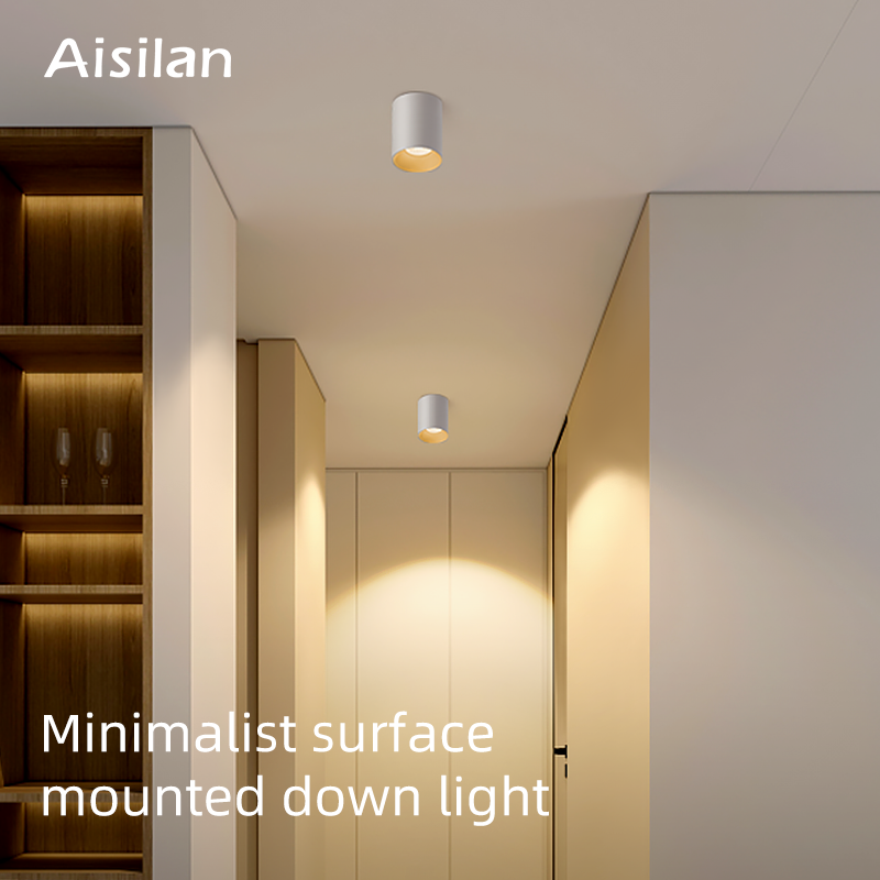 Aisilan Opbouw Plafondlamp Mat Aluminium 7W Downlight Anti-glare Plafondlamp voor Slaapkamer Gang