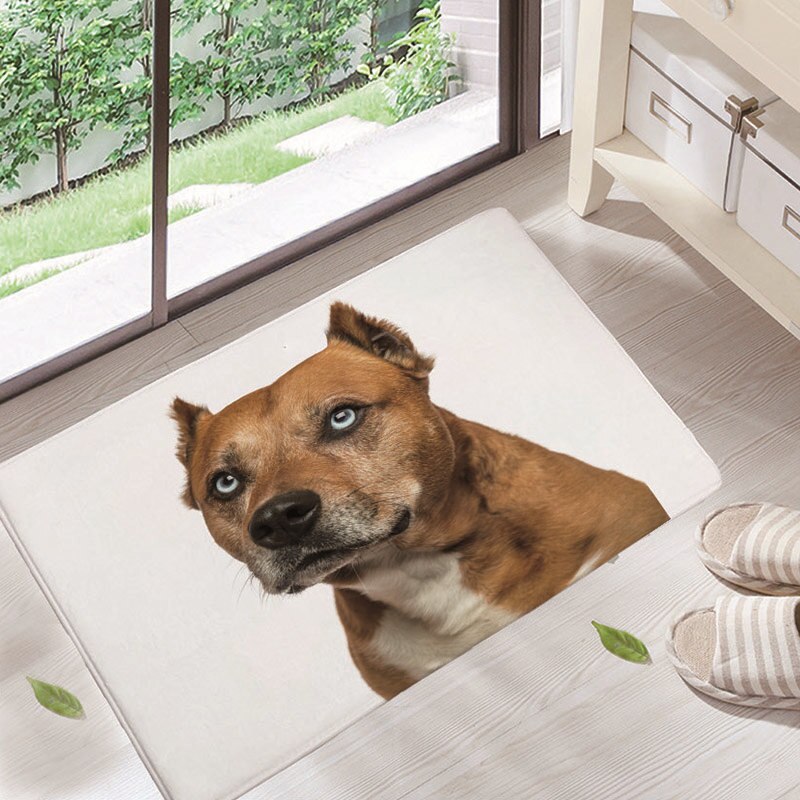 ¡Novedad! Felpudos para puerta de entrada, felpudos con bonito patrón de animales para perros, felpudos a prueba de polvo para sala de estar, decoración del hogar