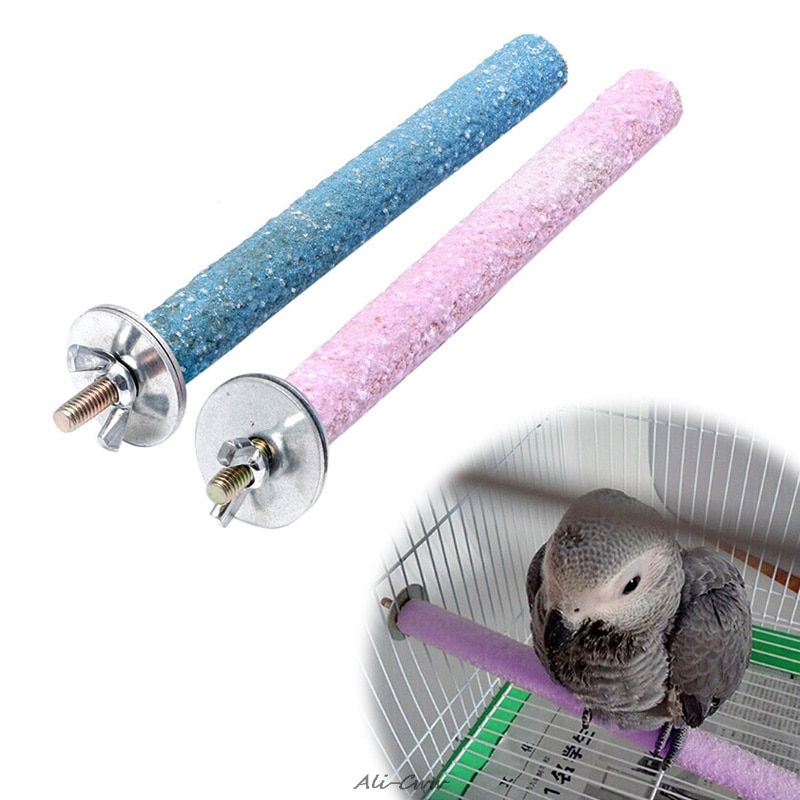 Kolorowy ptak żuć łapa szlifowanie zabawki papuga uprząż klatka papużka falista czyste narzędzie losowy kolor M09 dropshipping