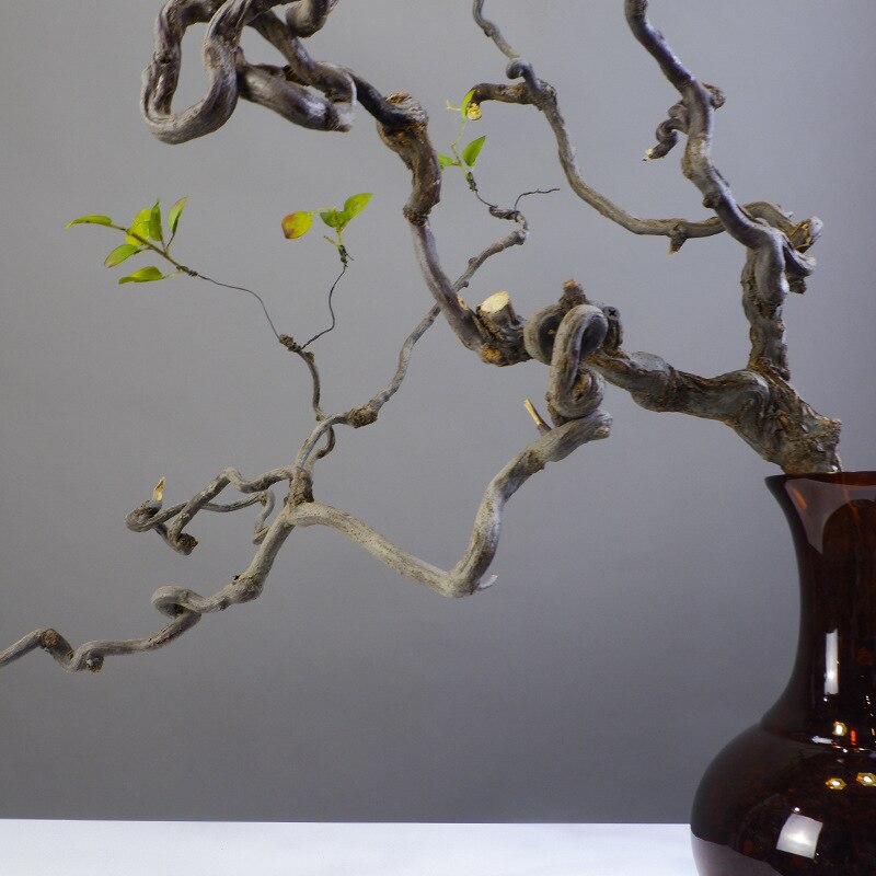 Natural Dried Curved Branches Table Floral Decoration