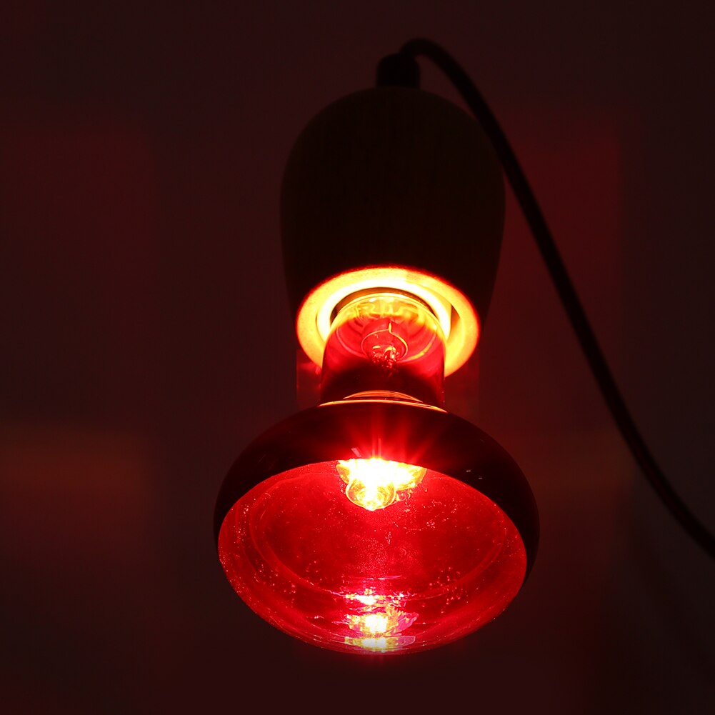 Reptile Bulb R80 Red E27 100W Amphibia Animal Pet Reptile Lizard Tortoise Snakes Avoid Illness Heating Infrared