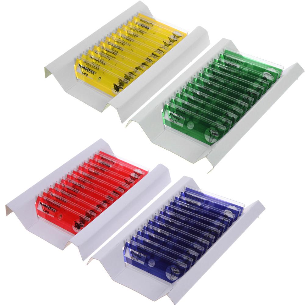 1000X 8 LED 2MP Digital USB Microscope Microscopio Magnifier Electronic Stereo USB Endoscope Camera+Lift Stand: 12pc Slides