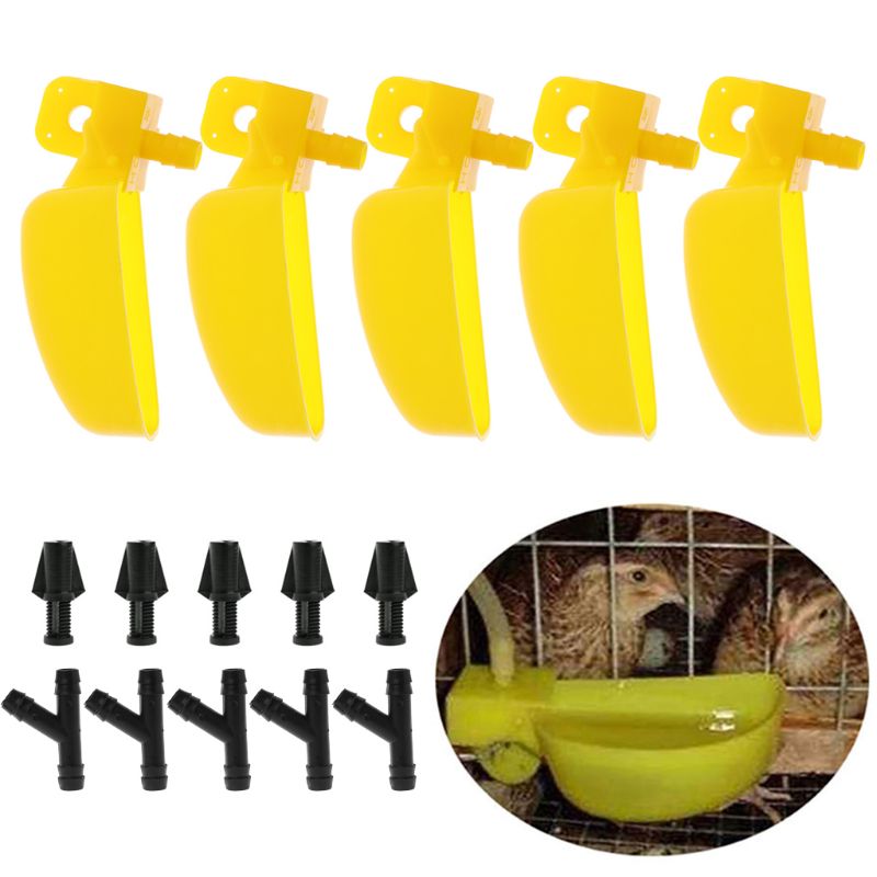 Bols à boire automatiques | Petit oiseau caille Dove tasse à boire