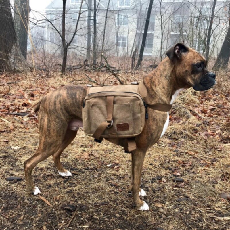 Hundepakke hund rejse camping vandreture sadeltaske rygsæk justerbare stropper hund rygsæk til mellemstore og store hunde