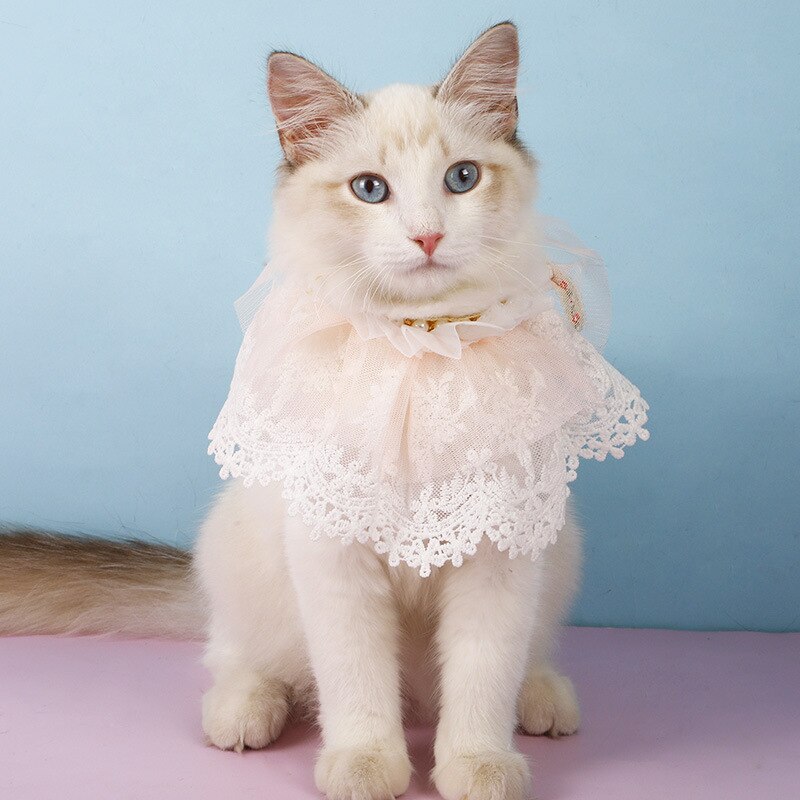 Nette Perle Doppel Spitze Kleine Frische Haustier Schal Perlen Haustier Zubehör Schal Katze Kragen Katze Kawaii Katze Fliege katze Zubehör