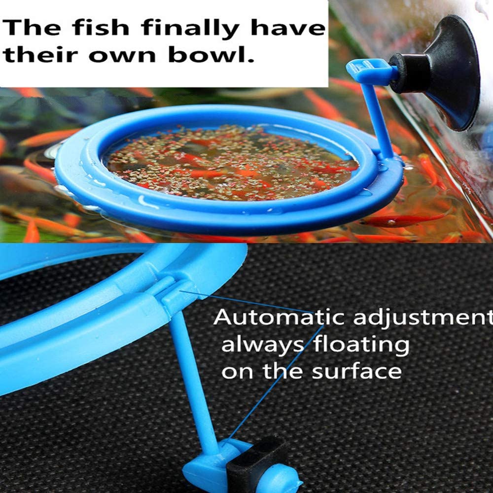 Anillo de alimentación para peces, alimentador de comida flotante seguro para peces, circular azul con ventosa, fácil de instalar, Forma cuadrada y redonda para acuario