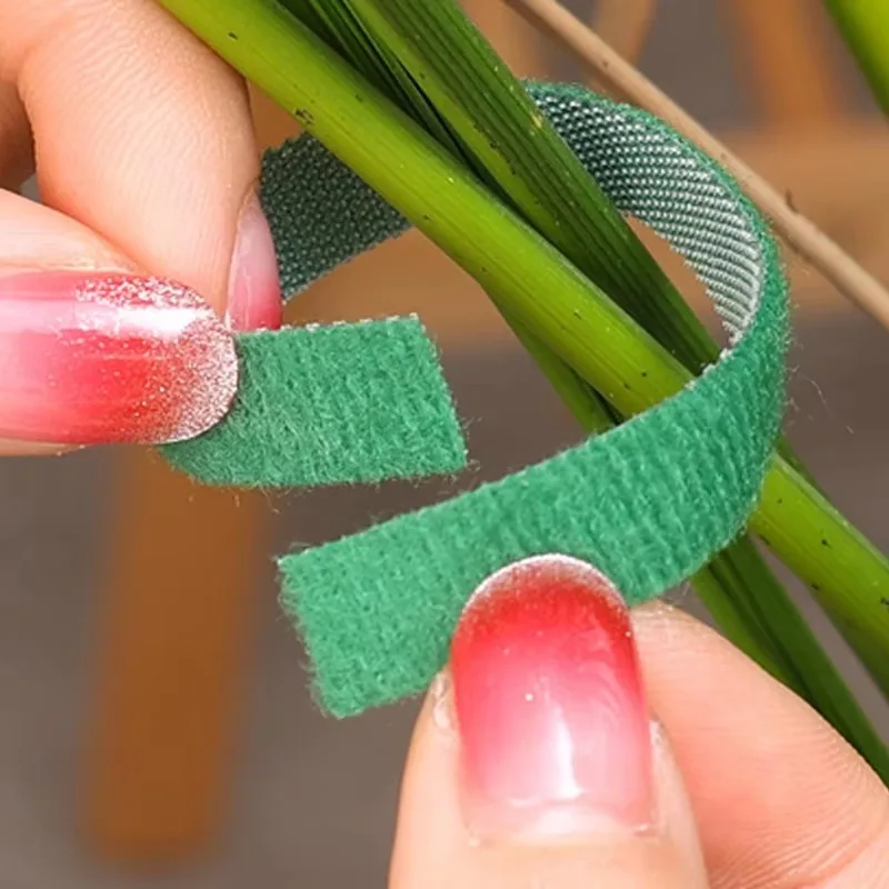 Fascette per piante autoadesive Fascette per piante in nylon regolabili Spago da giardino Fasciatura per piante Gancio Anello Vite Avvolgimento Nastro di supporto Striscia di fissaggio
